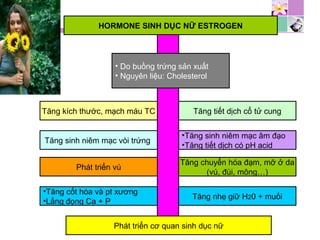 HORMONE SINH DỤC NỮ ESTROGEN
• Do buồng trứng sản xuất
• Nguyên liệu: Cholesterol
Tăng kích thước, mạch máu TC
Tăng sinh niêm mạc vòi trứng
Phát triển vú
Tăng tiết dịch cổ tử cung
Tăng chuyển hóa đạm, mỡ ở da
(vú, đùi, mông…)
•Tăng sinh niêm mạc âm đạo
•Tăng tiết dịch có pH acid
•Tăng cốt hóa và pt xương
•Lắng đọng Ca + P
Tăng nhẹ giữ H20 + muối
Phát triển cơ quan sinh dục nữ
 
