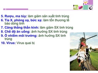 5. Rượu, ma túy: làm giảm sản xuất tinh trùng
6. Tia X, phóng xạ, bức xạ: làm tổn thương tế
bào dòng tinh
7. Căng thẳng thần kinh: làm giảm SX tinh trùng
8. Chế độ ăn uống: ảnh hưởng SX tinh trùng
9. Ô nhiễm môi trường: ảnh hưởng SX tinh
trùng
10. Virus: Virus quai bị
 