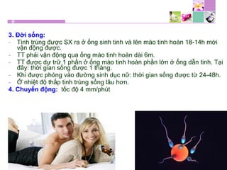 3. Đời sống:
- Tinh trùng được SX ra ở ống sinh tinh và lên mào tinh hoàn 18-14h mới
vận động được.
- TT phải vận động qua ống mào tinh hoàn dài 6m.
- TT được dự trữ 1 phần ở ống mào tinh hoàn phần lớn ở ống dẫn tinh. Tại
đây: thời gian sống được 1 tháng.
- Khi được phóng vào đường sinh dục nữ: thời gian sống được từ 24-48h.
- Ở nhiệt độ thấp tinh trùng sống lâu hơn.
4. Chuyển động: tốc độ 4 mm/phút
 