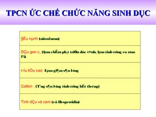 §Ëu nµnh (nitrofuran)
r­îu liÒu cao: Lµmgi¶ms¶n l­îng
Cafein : (T¨ng s¶n l­îng tinh trïng bÊt th­êng)
TPCN ỨC CHẾ CHỨC NĂNG SINH DỤCTPCN ỨC CHẾ CHỨC NĂNG SINH DỤC
DÇu gan c¸ (lµm chËmph¸t triÓn dôc t×nh, lµmtinh trïng co róm
l¹i)
Tinh dÇu vá cam (cã Hesperridin)
 