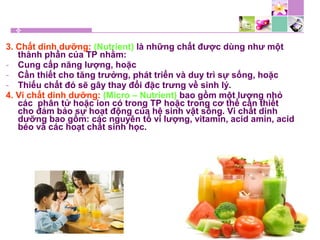3. Chất dinh dưỡng: (Nutrient) là những chất được dùng như một
thành phần của TP nhằm:
- Cung cấp năng lượng, hoặc
- Cần thiết cho tăng trưởng, phát triển và duy trì sự sống, hoặc
- Thiếu chất đó sẽ gây thay đổi đặc trưng về sinh lý.
4. Vi chất dinh dưỡng: (Micro – Nutrient) bao gồm một lượng nhỏ
các phân tử hoặc ion có trong TP hoặc trong cơ thể cần thiết
cho đảm bảo sự hoạt động của hệ sinh vật sống. Vi chất dinh
dưỡng bao gồm: các nguyên tố vi lượng, vitamin, acid amin, acid
béo và các hoạt chất sinh học.
 