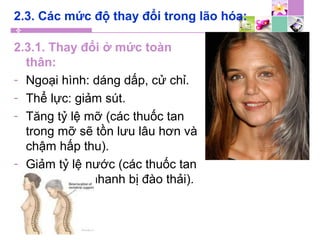 2.3. Các mức độ thay đổi trong lão hóa:
2.3.1. Thay đổi ở mức toàn
thân:
- Ngoại hình: dáng dấp, cử chỉ.
- Thể lực: giảm sút.
- Tăng tỷ lệ mỡ (các thuốc tan
trong mỡ sẽ tồn lưu lâu hơn và
chậm hấp thu).
- Giảm tỷ lệ nước (các thuốc tan
trong nước nhanh bị đào thải).
 