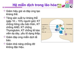 Hệ miễn dịch trong lão hóa:
 Giảm hiệu giá và đáp ứng tạo
kháng thể.
 Tăng sản xuất tự kháng thể
(gặp 10 – 15% người già): KT
chống hồng cầu bản thân, KT
chống AND, KT chống
Thyroglubin, KT chống tế bào
viền dạ dày, yếu tố dạng thấp…
 Giảm đáp ứng miễn dịch tế
bào.
 Giảm khả năng chống đỡ
không đặc hiệu.
 