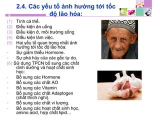 2.4. Các yếu tố ảnh hưởng tới tốc
độ lão hóa:
(1) Tính cá thể.
(2) Điều kiện ăn uống
(3) Điều kiện ở, môi trường sống
(4) ĐIều kiện làm việc.
(5) Hai yếu tố quan trọng nhất ảnh
hưởng tới tốc độ lão hóa:
- Sự giảm thiểu Hormone.
- Sự phá hủy của các gốc tự do.
(6) Sử dụng TPCN bổ sung các chất
dinh dưỡng và hoạt chất sinh
học:
- Bổ sung các Hormone
- Bổ sung các chất AO
- Bổ sung các Vitamin
- Bổ sung các chất Adaptogen
(chất thích nghi).
- Bổ sung các chất vi lượng.
- Bổ sung các hoạt chất sinh học,
amino acid, hợp chất lipid…
 