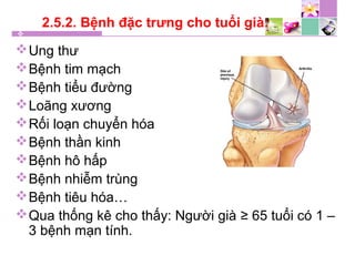 2.5.2. Bệnh đặc trưng cho tuổi già:
Ung thư
Bệnh tim mạch
Bệnh tiểu đường
Loãng xương
Rối loạn chuyển hóa
Bệnh thần kinh
Bệnh hô hấp
Bệnh nhiễm trùng
Bệnh tiêu hóa…
Qua thống kê cho thấy: Người già ≥ 65 tuổi có 1 –
3 bệnh mạn tính.
 
