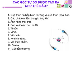 CÁC GỐC TỰ DO ĐƯỢC TẠO RA
NHƯ THẾ NÀO?
1. Quá trình hô hấp bình thường và quá trình thoái hóa.
2. Các chất ô nhiễm trong không khí.
3. Ánh nắng mặt trời.
4. Bức xạ ion (ví dụ : tia X).
5. Thuốc.
6. Virus.
7. Vi khuẩn.
8. Ký sinh trùng.
9. Mỡ thực phẩm.
10. Stress.
11. Các tổn thương.
 