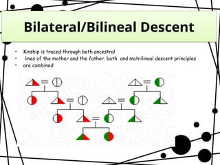 Bilateral Descent Example Genogram 16 ucsp Kinship, marriage and the household.pptx