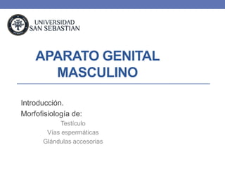 APARATO GENITAL
      MASCULINO

Introducción.
Morfofisiología de:
            Testículo
       Vías espermáticas
      Glándulas accesorias
 