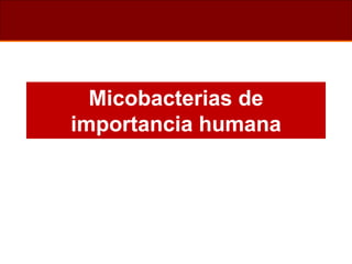 Micobacterias de
importancia humana
 