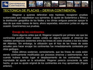 LUISHUAMANSERRANOGEOLOGIAGENERAL
TECTONICA DE PLACAS – DERIVA CONTINENTAL
Wegener y quienes defendían esta hipótesis recogieron pruebas
sustanciales que respaldaban sus opiniones. El ajuste de Sudamérica y África y
la distribución geográfica de los fósiles y los climas antiguos parecían apoyar la
idea de que esas masas de tierra, ahora separadas, estuvieron juntas en alguna
ocasión. Examinemos sus pruebas.
Encaje de los continentes
Como algunos antes que él, Wegener sospechó por primera vez que los
continentes podrían haber estado unidos en alguna ocasión al observar las
notables semejanzas existentes entre las líneas de costa situadas a los dos lados
del Atlántico. Sin embargo, la utilización que él hizo de las líneas de costa
actuales para hacer encajar los continentes fue inmediatamente contestada por
otros geólogos.
Estos últimos sostenían, correctamente, que las líneas de costa están
siendo continuamente modificadas por procesos erosivos y sedimentarios. Aun
cuando hubiera tenido lugar el desplazamiento de los continentes, sería
improbable tal ajuste en la actualidad. Wegener parecía consciente de este
hecho, ya que su ajuste original de los continentes era muy aproximado (Figura
anterior).
 