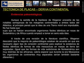 LUISHUAMANSERRANOGEOLOGIAGENERAL
TECTONICA DE PLACAS – DERIVA CONTINENTAL
Evidencias paleontológicas
Aunque la semilla de la hipótesis de Wegener procedía de las
notables semejanzas de los márgenes continentales a ambos lados del
Atlántico, al principio pensó que la idea de una Tierra móvil era improbable.
No fue hasta que
supo que se habían encontrado organismos fósiles idénticos en rocas de
Sudamérica y de África cuando empezó a tomar en serio esta idea.
A través de una revisión de la literatura científica, Wegener
descubrió que la mayoría de paleontólogos estaban de acuerdo en que era
necesario algún tipo de conexión continental para explicar la existencia de
fósiles idénticos de formas de vida mesozoicas en masas de tierra tan
separadas. (Igual que las formas de vida autóctonas de Norteamérica son
muy distintas de las africanas, cabría esperar que durante la era Mesozoica
los organismos de continentes muy separados serían también bastante
diferentes.)
 