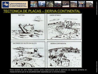 LUISHUAMANSERRANOGEOLOGIAGENERAL
TECTONICA DE PLACAS – DERIVA CONTINENTAL
Evidencias paleontológicas
Estos bocetos de John Holden ilustran varias explicaciones para la aparición de especies similares en
masas de tierra que en la actualidad están separadas por un enorme océano.
 