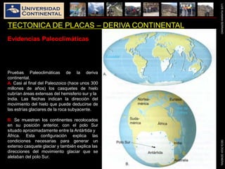 LUISHUAMANSERRANOGEOLOGIAGENERAL
TECTONICA DE PLACAS – DERIVA CONTINENTAL
Evidencias Paleoclimáticas
Pruebas Paleoclimáticas de la deriva
continental.
A. Casi al final del Paleozoico (hace unos 300
millones de años) los casquetes de hielo
cubrían áreas extensas del hemisferio sur y la
India. Las flechas indican la dirección del
movimiento del hielo que puede deducirse de
las estrías glaciares de la roca subyacente.
B. Se muestran los continentes recolocados
en su posición anterior, con el polo Sur
situado aproximadamente entre la Antártida y
África. Esta configuración explica las
condiciones necesarias para generar un
extenso casquete glaciar y también explica las
direcciones del movimiento glaciar que se
alelaban del polo Sur.
 