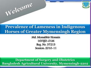 Prevalence of Lameness in Indigenous
Horses of Greater Mymensingh Region
Md. Mossabbir Hossain
16VSJD-01M
Reg. No. 37213
Session: 2010-11
Department of Surgery and Obstetrics
Bangladesh Agricultural University, Mymensingh-2202
 