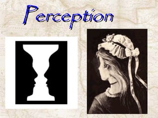 Perception 