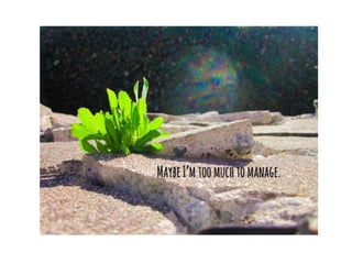 6 word memoir slideshow