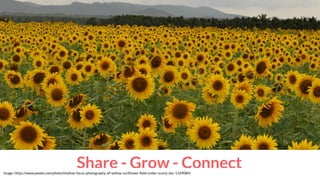 Share - Grow - ConnectImage: https://www.pexels.com/photo/shallow-focus-photography-of-yellow-sunﬂower-ﬁeld-under-sunny-sky-1169084/
 