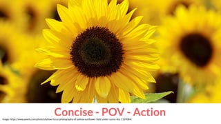 Concise - POV - ActionImage: https://www.pexels.com/photo/shallow-focus-photography-of-yellow-sunﬂower-ﬁeld-under-sunny-sky-1169084/
 