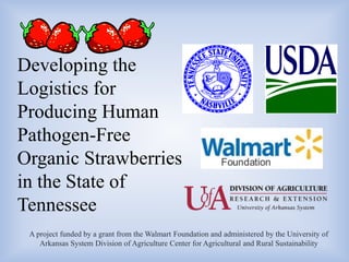 Developing the
Logistics for
Producing Human
Pathogen-Free
Organic Strawberries
in the State of
Tennessee
A project funded by a grant from the Walmart Foundation and administered by the University of
Arkansas System Division of Agriculture Center for Agricultural and Rural Sustainability
 