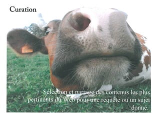 Une présence sur le net sans site web