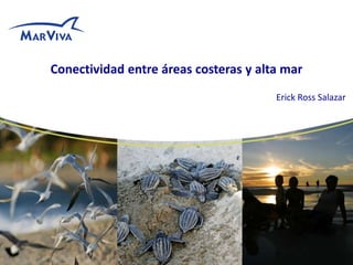 Conectividad entre áreas costeras y alta mar
Erick Ross Salazar
 