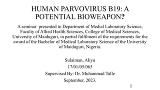 HUMAN PARVOVIRUS B19: A
POTENTIAL BIOWEAPON?
A seminar presented to Department of Medial Laboratory Science,
Faculty of Allied Health Sciences, College of Medical Sciences,
University of Maiduguri, in partial fulfilment of the requirements for the
award of the Bachelor of Medical Laboratory Science of the University
of Maiduguri, Nigeria.
Sulaiman, Aliyu
17/01/05/065
Supervised By: Dr. Muhammad Talle
September, 2023.
1
 