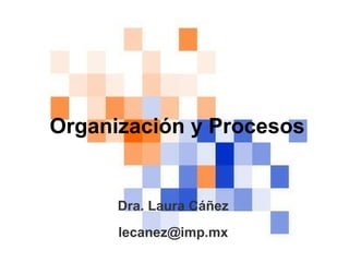 Organización y Procesos Dra. Laura Cáñez [email_address] 