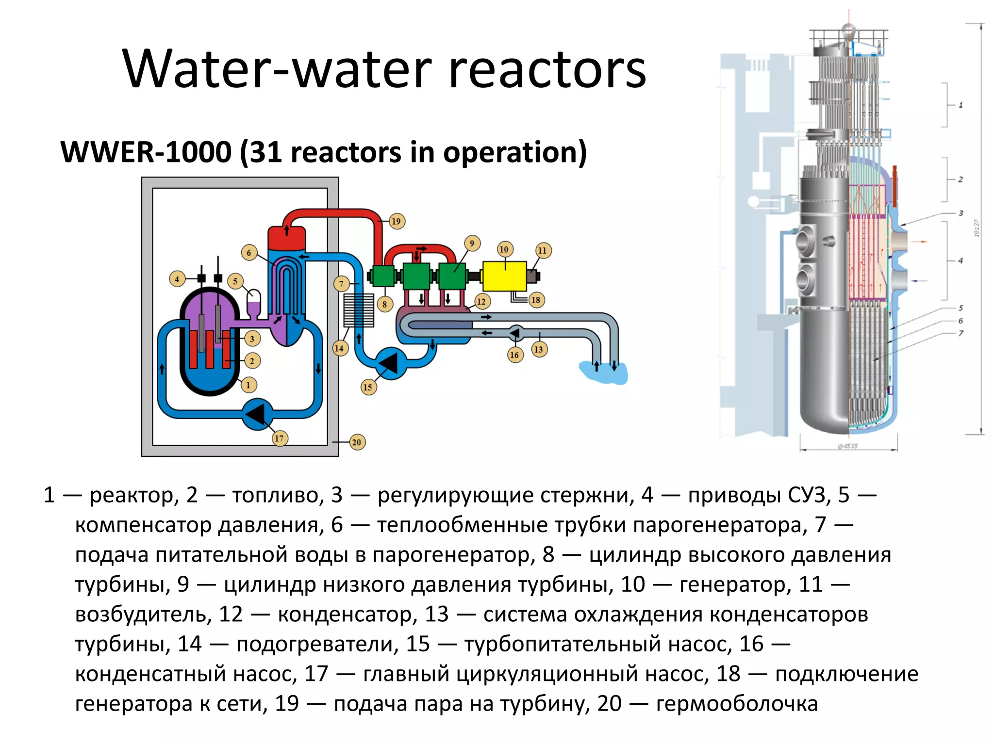 Water‐water reactors
WWER‐1000 (31 reactors in operation) 
1 — реактор, 2 — топливо, 3 — регулирующие стержни, 4 — приводы СУЗ, 5 —
компенсатор давления, 6 — теплообменные трубки парогенератора, 7 —
подача питательной воды в парогенератор, 8 — цилиндр высокого давления 
турбины, 9 — цилиндр низкого давления турбины, 10 — генератор, 11 —
возбудитель, 12 — конденсатор, 13 — система охлаждения конденсаторов 
турбины, 14 — подогреватели, 15 — турбопитательный насос, 16 —
конденсатный насос, 17 — главный циркуляционный насос, 18 — подключение 
генератора к сети, 19 — подача пара на турбину, 20 — гермооболочка
 