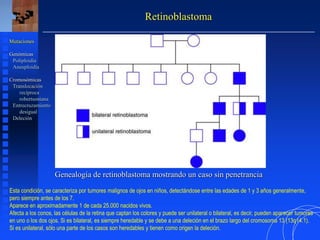 Retinoblastoma
Mutaciones
Genómicas
Poliploidía
Aneuploidía
Cromosómicas
Translocación
recíproca
robertsoniana
Entrecruzamiento
desigual
Deleción
Genealogía de retinoblastoma mostrando un caso sin penetrancia
Esta condición, se caracteriza por tumores malignos de ojos en niños, detectándose entre las edades de 1 y 3 años generalmente,
pero siempre antes de los 7.
Aparece en aproximadamente 1 de cada 25.000 nacidos vivos.
Afecta a los conos, las células de la retina que captan los colores y puede ser unilateral o bilateral, es decir, pueden aparecer tumores
en uno o los dos ojos. Si es bilateral, es siempre heredable y se debe a una deleción en el brazo largo del cromosoma 13 (13q14.1).
Si es unilateral, sólo una parte de los casos son heredables y tienen como origen la deleción.
 