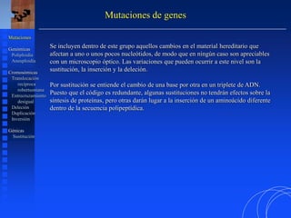 Se incluyen dentro de este grupo aquellos cambios en el material hereditario que
afectan a uno o unos pocos nucleótidos, de modo que en ningún caso son apreciables
con un microscopio óptico. Las variaciones que pueden ocurrir a este nivel son la
sustitución, la inserción y la deleción.
Por sustitución se entiende el cambio de una base por otra en un triplete de ADN.
Puesto que el código es redundante, algunas sustituciones no tendrán efectos sobre la
síntesis de proteínas, pero otras darán lugar a la inserción de un aminoácido diferente
dentro de la secuencia polipeptídica.
Mutaciones de genes
Mutaciones
Genómicas
Poliploidía
Aneuploidía
Cromosómicas
Translocación
recíproca
robertsoniana
Entrecruzamiento
desigual
Deleción
Duplicación
Inversión
Génicas
Sustitución
 