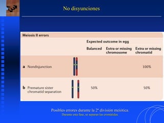 No disyunciones
Posibles errores durante la 2ª división meiótica.
Durante esta fase, se separan las cromátidas.
 
