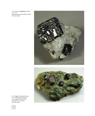 Илл. 7. Гранат в хлорититовой породе.
6 х 9 см. Минералогический музей
им. А.Е. Ферсмана РАН, No К1378,
коллекция М.А. Толстопятова.
Фото: М.Б. Лейбов.
10
Илл. 6. Кристаллы перовскита в кальците.
3 х 8 х 10 см.
Минералогический музей СПбГУ No 34/1899.
Фото: М.Б. Лейбов.
 