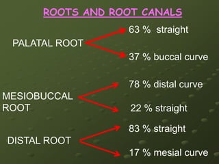 MP cusp is larger than DPBuccal aspect  Smaller crown size  Less prominent DB cusp & narrower MD  Distally inclined BUCCAL rootsLingual aspect  DL cusp is smaller in width & height  LINGUAL root is narrower MD & slightly Distally inclined  No cusp of Carabelli