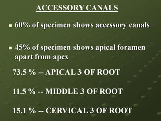 INTERNAL ANATOMY PULP CHAMBERTHE PULP CHAMBER OF MAXILLARY 2 MOLAR IS SIMILAR TO THAT OF THE MAXILLARY 1 MOLAR EXCEPT IT IS NARROWER MESIODISTALLY 