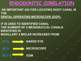 ROOTS AND ROOT CANALS63 %  straightPALATAL ROOT37 % buccal curve78 % distal curveMESIOBUCCAL ROOT22 % straight83 % straightDISTAL ROOT17 % mesial curve
