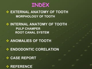 INDEX EXTERNAL ANATOMY OF TOOTH MORPHOLOGY OF TOOTH INTERNAL ANATOMY OF TOOTH PULP CHAMPER           ROOT CANAL SYSTEM ANOMALIES OF TOOTH