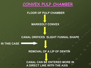 Significance of average time of eruption, age of calcification, tooth length & root curvature: IT HELPS IN DIAGNOSIS AND TREATMENT PLAN TREATMENT IS DIFFERENT IN ADULT AND YOUNGNECROTIC PULPRCTADULT Irreversible Pulpitis