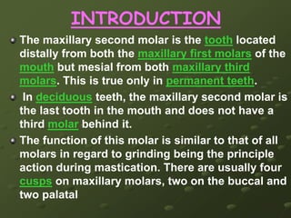  ENDODONTIC CORELATION 