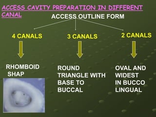 digital radiography system