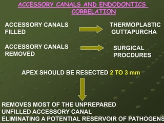 ROOT CANAL ORIFICES 1 CANAL SEPARATE IN TO 2 CANALSRELATIONSHIP OF THE 2 CANAL ORIFICESDIVISION IS BUCCAL AND PALATALCLOSER 2 CANAL ORIFICESPALATAL CANAL SPLITSFROM THE MAIN CANALAT  SHARP ANGLE  IT IS VISUAL CONFIGURATION AS LOWER CASE  LETTER   hGREATER CHANCE OF 2 CANALS JOIN AT SOME POINT IN THE BODY OF THE ROOTBUCCAL CANAL IS STRAIGHTPORTION OF THE h