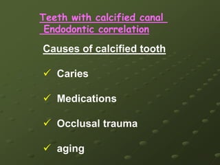 J. Morita Root ZX electronic apex locator.