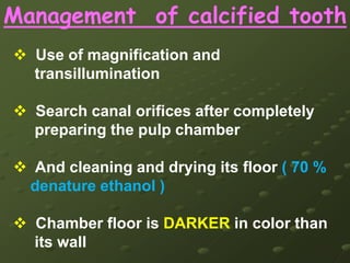 Analytic Endo Analyzer electronic apex locator and electronic pulp tester