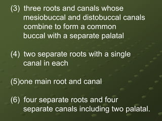 To investigate properly the possibility of additional canals, the dentist should: #  understand the complexity of the morphology of the tooth involved#  take additional off-angle   radiographs#  ensure adequate “straight-line” access to improve visibility 