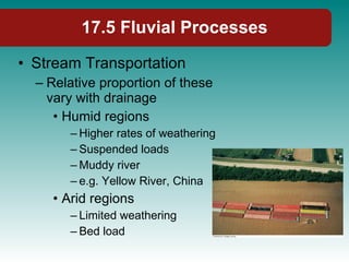 17.5 Fluvial Processes Stream Transportation Relative proportion of these vary with drainage Humid regions  Higher rates of weathering Suspended loads Muddy river e.g. Yellow River, China Arid regions Limited weathering Bed load 
