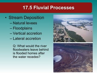17.5 Fluvial Processes Stream Deposition Natural levees Floodplains Vertical accretion Lateral accretion Q: What would the river floodwaters leave behind is flooded homes after the water recedes? 
