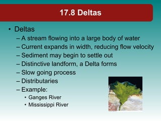 17.8 Deltas Deltas A stream flowing into a large body of water Current expands in width, reducing flow velocity Sediment may begin to settle out Distinctive landform, a Delta forms Slow going process Distributaries Example: Ganges River Mississippi River 