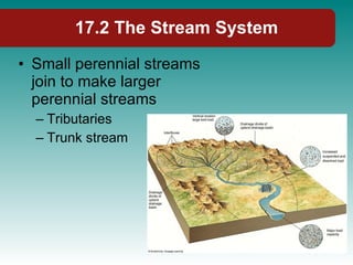 17.2 The Stream System Small perennial streams join to make larger perennial streams Tributaries Trunk stream 