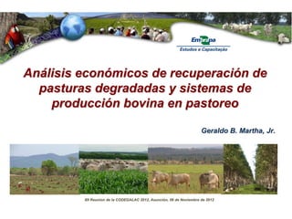 Geraldo B. Martha, Jr.
Análisis económicos de recuperación de
pasturas degradadas y sistemas de
producción bovina en pastoreo
XII Reunion de la CODEGALAC 2012, Asunción, 06 de Noviembre de 2012
 