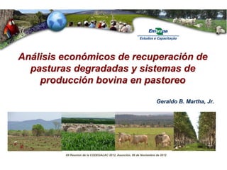 Análisis económicos de recuperación de
  pasturas degradadas y sistemas de
    producción bovina en pastoreo

                                                                     Geraldo B. Martha, Jr.




         XII Reunion de la CODEGALAC 2012, Asunción, 06 de Noviembre de 2012
 