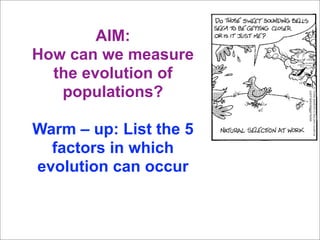 AIM:
How can we measure
  the evolution of
   populations?

Warm – up: List the 5
  factors in which
evolution can occur